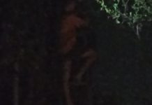 Gangguan WiFi di Malam Hari, Teknisi PT Bach Multi Global Diduga Langgar Prosedur K3 Img 20260416 Wa00301