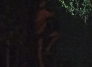 Gangguan WiFi di Malam Hari, Teknisi PT Bach Multi Global Diduga Langgar Prosedur K3 Img 20260416 Wa00301