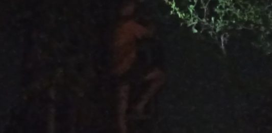 Gangguan WiFi di Malam Hari, Teknisi PT Bach Multi Global Diduga Langgar Prosedur K3 Img 20260416 Wa00301