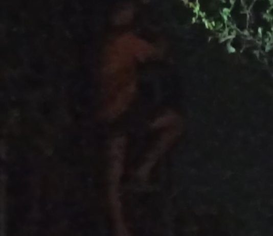 Gangguan WiFi di Malam Hari, Teknisi PT Bach Multi Global Diduga Langgar Prosedur K3 Img 20260416 Wa00301