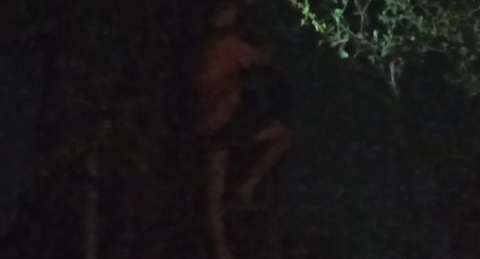 Img 20260416 Wa00301