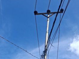 Pulihkan Konektivitas, PLN Icon Plus Tuntaskan Gangguan Jaringan di Ambon Gambar : Perbaikan jaringan oleh Petugas Tim Service PLN Icon Plus pada salah satu titik di Wilayah Ambon