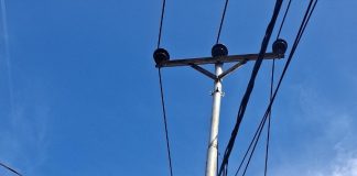 Pulihkan Konektivitas, PLN Icon Plus Tuntaskan Gangguan Jaringan di Ambon Gambar : Perbaikan jaringan oleh Petugas Tim Service PLN Icon Plus pada salah satu titik di Wilayah Ambon