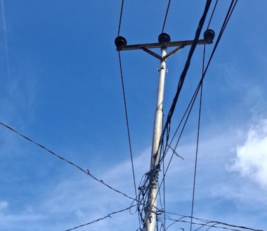Pulihkan Konektivitas, PLN Icon Plus Tuntaskan Gangguan Jaringan di Ambon Gambar : Perbaikan jaringan oleh Petugas Tim Service PLN Icon Plus pada salah satu titik di Wilayah Ambon