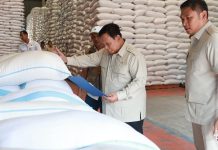 Stok Beras Nasional Melimpah, Harga Tetap Tinggi, Mentan Pastikan Tidak Turun, Bandingkan Harga Rokok FOTO: Presiden Prabowo Subianto saat berkunjung ke Kompleks Gudang Bulog di Danurejo untuk memastikan langsung bahwa stok pangan kita benar-benar siap memenuhi kebutuhan masyarakat ke depan. Ini bukan sekadar soal angka dan data, tetapi tentang kepastian bahwa setiap keluarga Indonesia bisa mendapatkan bahan pangan. (Dok. Seskab)