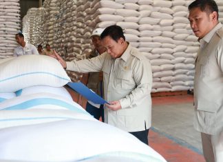 Stok Beras Nasional Melimpah, Harga Tetap Tinggi, Mentan Pastikan Tidak Turun, Bandingkan Harga Rokok FOTO: Presiden Prabowo Subianto saat berkunjung ke Kompleks Gudang Bulog di Danurejo untuk memastikan langsung bahwa stok pangan kita benar-benar siap memenuhi kebutuhan masyarakat ke depan. Ini bukan sekadar soal angka dan data, tetapi tentang kepastian bahwa setiap keluarga Indonesia bisa mendapatkan bahan pangan. (Dok. Seskab)