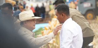 Presiden Prabowo Pimpin Langsung Panen Raya Jagung Serentak di Tuban FOTO: Presiden Prabowo Subianto memimpin langsung Panen Raya Jagung Serentak Kuartal II Tahun 2026 di Kabupaten Tuban, Jawa Timur, Sabtu, 16 Mei 2026. (Sumber: BPMI Setpres)