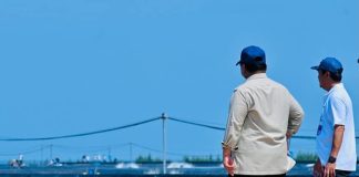 Presiden Prabowo Panen Raya Udang di BUBK Kebumen, Perkuat Budi Daya Modern dan Ketahanan Pangan Nasional FOTO; Presiden Prabowo Subianto menyaksikan panen raya udang dan meninjau kegiatan sortir hasil panen di lokasi tambak Budi Daya Udang Berbasis Kawasan (BUBK) Kebumen, Jawa Tengah, Sabtu (23/05/2026). (Sumber: BPMI Setpres)