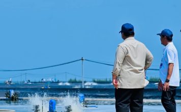 Presiden Prabowo Panen Raya Udang di BUBK Kebumen, Perkuat Budi Daya Modern dan Ketahanan Pangan Nasional FOTO; Presiden Prabowo Subianto menyaksikan panen raya udang dan meninjau kegiatan sortir hasil panen di lokasi tambak Budi Daya Udang Berbasis Kawasan (BUBK) Kebumen, Jawa Tengah, Sabtu (23/05/2026). (Sumber: BPMI Setpres)