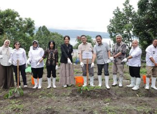 Tanam Pohon untuk Masa Depan, Taruna Ikrar Kampanyekan Penghijauan Nasional di Danau Toba Kepala Badan Pengawas Obat dan Makanan (BPOM) RI, Prof. Dr. Taruna Ikrar lakukan penanaman pohon di taman sekitar Danau Toba
