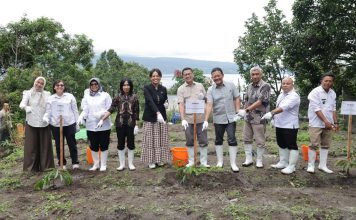 Tanam Pohon untuk Masa Depan, Taruna Ikrar Kampanyekan Penghijauan Nasional di Danau Toba Kepala Badan Pengawas Obat dan Makanan (BPOM) RI, Prof. Dr. Taruna Ikrar lakukan penanaman pohon di taman sekitar Danau Toba