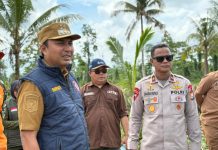 Wujudkan Program Ketahanan Pangan Presiden, Komandan Batalyon D Pelopor Brimob Polda Sulsel Dampingi Bupati Lutra Tanam Perdana CSR FOTO: Bupati Luwu Utara, Andi Abdullah Rahim didampingi Komandan Batalyon D Pelopor Brimob Polda Sulsel, Kompol Laode Rusli, melaksanakan kegiatan tanam perdana di lahan Cetak Sawah Rakyat (CSR) berlangsung di Desa Pombakka, Kecamatan Malangke Barat, Kabupaten Luwu Utara, Sulawesi Selatan (Sulsel). Selasa, 19 Mei 2026. (Istimewa)