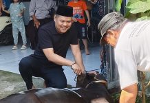 Relawan Prabowo-Gibran Logis 08 Berkurban Satu Ekor Sapi untuk Masyarakat Ket Foto: Ketua Umum Logis 08 Anshar Ilo saat ikut proses penyembelihan sapi Qurban, Kamis (28/05).