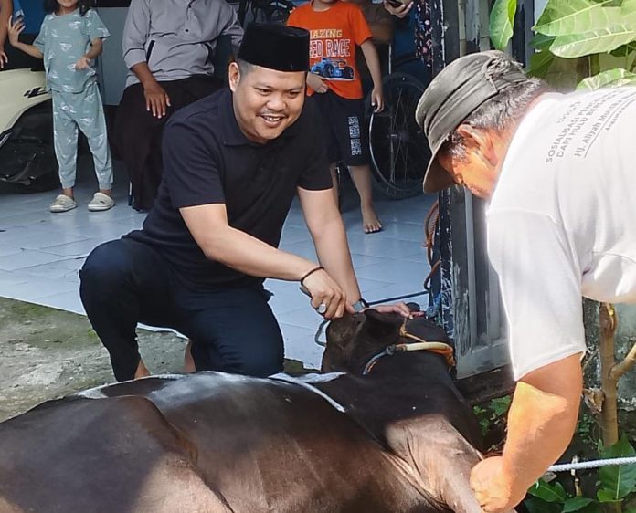 Ket Foto: Ketua Umum Logis 08 Anshar Ilo saat ikut proses penyembelihan sapi Qurban, Kamis (28/05).