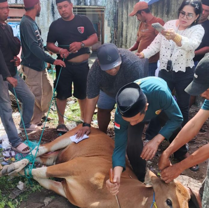 FOTO: Ketua Umum Ormas Laskar Garuda Indonesia Bersatu, Muh. Mukram, menyaksikan pemotongan hewan qurban. Rabu (27/05/2026)