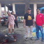 Dihadiri Ketua DPRD Makassar, Ibu Fatma Bagi Kurban di Manggala FOTO: Supratman, Ketua DPRD Makassar saat melihat langsung pembagian hewan kurban disaksikan Camat Manggala H.Abd Rahman Nongko, S.Sos dan tokoh masyarakat Manggala Andi Pasamangi Wawo, Jumat sore (29/6)