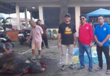 Dihadiri Ketua DPRD Makassar, Ibu Fatma Bagi Kurban di Manggala FOTO: Supratman, Ketua DPRD Makassar saat melihat langsung pembagian hewan kurban disaksikan Camat Manggala H.Abd Rahman Nongko, S.Sos dan tokoh masyarakat Manggala Andi Pasamangi Wawo, Jumat sore (29/6)