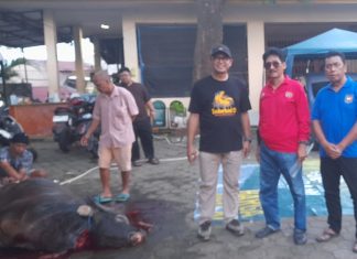 Dihadiri Ketua DPRD Makassar, Ibu Fatma Bagi Kurban di Manggala FOTO: Supratman, Ketua DPRD Makassar saat melihat langsung pembagian hewan kurban disaksikan Camat Manggala H.Abd Rahman Nongko, S.Sos dan tokoh masyarakat Manggala Andi Pasamangi Wawo, Jumat sore (29/6)