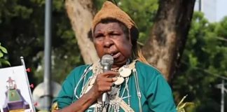 Direktur LBH Merauke Meminta Publik Tidak Menyudutkan atau Menghakimi Tokoh Perempuan Adat Papua FOTO: Mama Yasinta (dok via google)