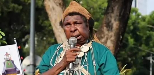Direktur LBH Merauke Meminta Publik Tidak Menyudutkan atau Menghakimi Tokoh Perempuan Adat Papua FOTO: Mama Yasinta (dok via google)