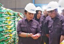 Pernah Diingatkan: Titiek Soeharto Cecar Amran Soal 1,5 Juta Ton Beras ‘Tua’ Tersimpan di Gudang Bulog FOTO: Ketua Komisi IV DPR RI Titiek Soeharto Kunker Komisi IV DPR RI di Gianyar, Bali, pada Rabu (29/10/2025). (Ist)