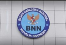 BNNP Sulsel Sebut Uang Rp27 Juta Diduga Hasil Peredaran Narkoba dan Motor Akan Dikembalikan Kepemiliknya FOTO: Badan Narkotika Nasional (BNN). (Dok via Google)