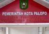 LPK Shin Siap Buka Kantor Cabang di Palopo – Jajaki Kerjasama dengan Pemkot Palopo Terkait Program Pemagangan Kerja ke Jepang