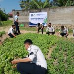 Panen Raya Sayuran Organik: Wujud Nyata Bapas Kendari dalam Mendukung Program Ketahanan Pangan Nasional FOTO: Bapas Kendari melaksanakan giat panen sayur bayam, kangkung dan terung yang bertempat di Griya Abhipraya Bapas Kendari. Senin (13/07). (Ist)