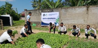 Panen Raya Sayuran Organik: Wujud Nyata Bapas Kendari dalam Mendukung Program Ketahanan Pangan Nasional FOTO: Bapas Kendari melaksanakan giat panen sayur bayam, kangkung dan terung yang bertempat di Griya Abhipraya Bapas Kendari. Senin (13/07). (Ist)