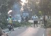 Demi Keselamatan Pengendara Jalan, UPT PJJ Mojokerto Pangkas Rimbun Pohon yang Halangi Pandangan Img 20260717 Wa0037