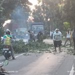 Demi Keselamatan Pengendara Jalan, UPT PJJ Mojokerto Pangkas Rimbun Pohon yang Halangi Pandangan Img 20260717 Wa0037