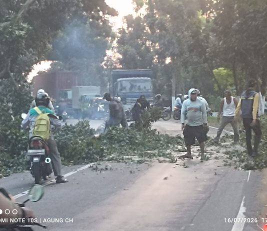 Demi Keselamatan Pengendara Jalan, UPT PJJ Mojokerto Pangkas Rimbun Pohon yang Halangi Pandangan Img 20260717 Wa0037
