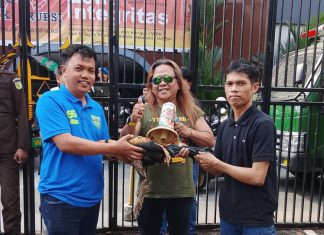 Demo Kasus Dana Hibah KONI: Tidak Bakar Ban, Maulan Bawakan Kejari Makassar Ayam Jantan FOTO: Kepala Seksi (Kasi) Intelijen Kejari Makassar, Sulfikar, SH., MH., saat menerima "Ayam Jantan" dari perwakilan pengunjuk rasa Maulana di pelataran Kantor Kejaksaan Negeri Makassar, Jalan Amanagappa No. 15, Kelurahan Baru, Kecamatan Ujung Pandang, Kota Makassar, Sulawesi Selatan. Jumat (24/7/2026). (ist)