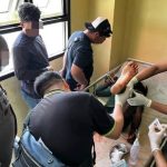 Anggota KKB Hendak Lari dari Penjara di Timika, Kini Polisi Buru Penjemput Nexon Kogoya FOTO: Saat aparat mengamankan anggota KKB atas nama Nexon Kogoya berhasil di tangkap kembali saat akan berusaha melarikan diri dari penjara Timika dengan cara memanjat pagar pada malam Selasa (11/8/2026). (Ist)