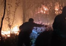 Kebakaran Lahan di Mattirotasi, Dandim 1420 Sidrap Turun Langsung Padamkan Api FOTO: Komandan Kodim (Dandim) 1420 Sidrap Letkol Inf. Andi Zulhakim Asdar turun langsung membantu memadamkan kebakaran lahan yang terjadi di Desa Mattirotasi, Kecamatan Watang Pulu, Kabupaten Sidenreng Rappang (Sidrap), Sabtu malam (22/8/2026). (Dok Kodim Sidrap)