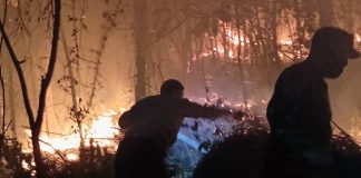 Kebakaran Lahan di Mattirotasi, Dandim 1420 Sidrap Turun Langsung Padamkan Api FOTO: Komandan Kodim (Dandim) 1420 Sidrap Letkol Inf. Andi Zulhakim Asdar turun langsung membantu memadamkan kebakaran lahan yang terjadi di Desa Mattirotasi, Kecamatan Watang Pulu, Kabupaten Sidenreng Rappang (Sidrap), Sabtu malam (22/8/2026). (Dok Kodim Sidrap)