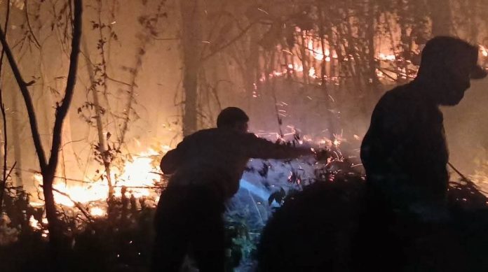 FOTO: Komandan Kodim (Dandim) 1420 Sidrap Letkol Inf. Andi Zulhakim Asdar turun langsung membantu memadamkan kebakaran lahan yang terjadi di Desa Mattirotasi, Kecamatan Watang Pulu, Kabupaten Sidenreng Rappang (Sidrap), Sabtu malam (22/8/2026). (Dok Kodim Sidrap) FOTO: Komandan Kodim (Dandim) 1420 Sidrap Letkol Inf. Andi Zulhakim Asdar turun langsung membantu memadamkan kebakaran lahan yang terjadi di Desa Mattirotasi, Kecamatan Watang Pulu, Kabupaten Sidenreng Rappang (Sidrap), Sabtu malam (22/8/2026). (Dok Kodim Sidrap)