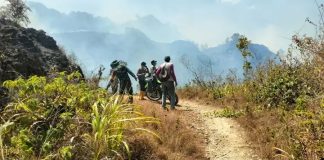 TNI Polri dan Damkar Berjibaku Padamkan Kebakaran Hutan di Gunung Rajang Enrekang FOTO: Babinsa Koramil 1419-04/Alla bersama personel Polsek Alla, petugas Pemadam Kebakaran (Damkar), dan masyarakat setempat terus berupaya melakukan pemadaman kebakaran hutan yang terjadi di kawasan Gunung Rajang, Dusun Wai Butu, Desa Pana, Kecamatan Alla, Kabupaten Enrekang. Rabu 26 Agustus 2026.(Dok. Kodim Enrekang)