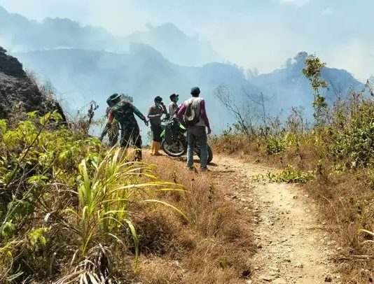 TNI Polri dan Damkar Berjibaku Padamkan Kebakaran Hutan di Gunung Rajang Enrekang FOTO: Babinsa Koramil 1419-04/Alla bersama personel Polsek Alla, petugas Pemadam Kebakaran (Damkar), dan masyarakat setempat terus berupaya melakukan pemadaman kebakaran hutan yang terjadi di kawasan Gunung Rajang, Dusun Wai Butu, Desa Pana, Kecamatan Alla, Kabupaten Enrekang. Rabu 26 Agustus 2026.(Dok. Kodim Enrekang)