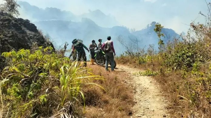 FOTO: Babinsa Koramil 1419-04/Alla bersama personel Polsek Alla, petugas Pemadam Kebakaran (Damkar), dan masyarakat setempat terus berupaya melakukan pemadaman kebakaran hutan yang terjadi di kawasan Gunung Rajang, Dusun Wai Butu, Desa Pana, Kecamatan Alla, Kabupaten Enrekang. Rabu 26 Agustus 2026.(Dok. Kodim Enrekang)