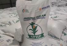 Kementan Kawal SPHP Jagung bagi Peternak, Penyaluran Telah Mencapai 127 Ribu Ton FOTO: SPHP Jagung (ist)