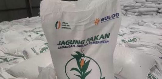 Kementan Kawal SPHP Jagung bagi Peternak, Penyaluran Telah Mencapai 127 Ribu Ton FOTO: SPHP Jagung (ist)