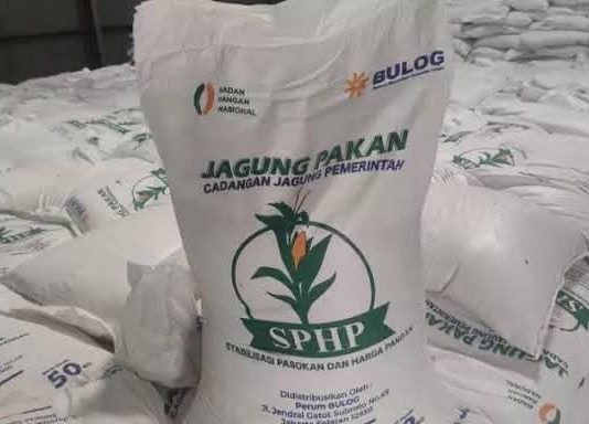 Kementan Kawal SPHP Jagung bagi Peternak, Penyaluran Telah Mencapai 127 Ribu Ton FOTO: SPHP Jagung (ist)