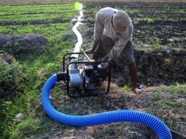 Orang Dekat Bupati Barru dan Konsultan Diduga Kerjakan Proyek Oplah Rp8 miliar, LKKN: Itu Swakelola Kelompok Tani FOTO: Ilustrasi Pengairan Sawah (Antara/Oky Lukmansyah)