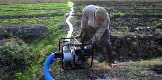 Orang Dekat Bupati Barru dan Konsultan Diduga Kerjakan Proyek Oplah Rp8 miliar, LKKN: Itu Swakelola Kelompok Tani FOTO: Ilustrasi Pengairan Sawah (Antara/Oky Lukmansyah)