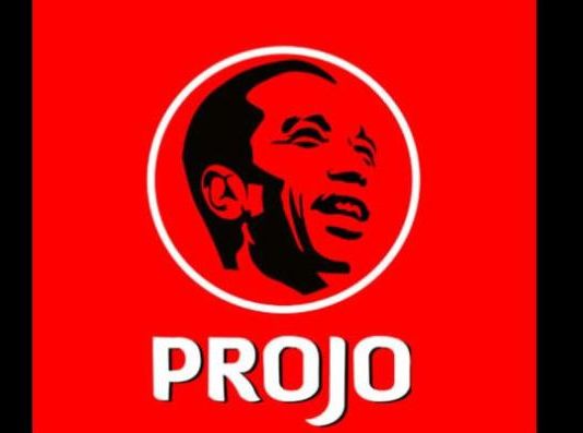 Projo Klarifikasi Video Viral Budi Arie Singgung Politik Tak Sampai 2029 FOTO: ilustrasi logo ProJo. (Ist)