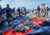 Penyelam dari Kopaska dan Koppeba Berhasil Evakuasi Jenazah Korban Kapal Tenggelam FOTO: TNI AL melibatkan unsur KRI GNR-332, KRI CNP-936, dan KRI PFN-731 serta Pasukan Penyelam dan Kopaska melaksanakan operasi pencarian dan evakuasi korban kecelakaan KM Virgo Transport 8 di lokasi kejadian, Jumat (18/9). (Dok TNI AL)