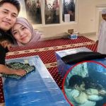 Tim Penyelamat Temukan Pasangan Suami Istri dalam Keadaan Berpelukan di Dalam KM Virgo Transport 8 FOTO: Kolase pasangan suami istri di dalam kapal KM Virgo Transport 8 yang terbalik.