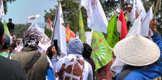 Petani Luwu Timur Desak Evaluasi Izin Tambang dan Perkebunan, DPRD Diminta Bentuk Pansus FOTO: Aliansi Tani Luwu Timur mendesak pemerintah menghentikan sementara pemberian dan perpanjangan izin pertambangan serta perkebunan di Kabupaten Luwu Timur, Sulawesi Selatan. Tuntutan tersebut disampaikan dalam aksi memperingati Hari Tani Nasional, Kamis (24/9/2026).
