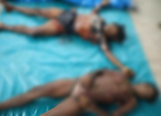 Markas Disergap Aparat, 2 Anggota OPM Kodap III Ndugama Tewas Tertembak FOTO: Jasad Keli Giban dan Cat Giban, Keduanya anggota kelompok Wariambo Wandikbo (Wadanops Kodap III Ndugama/Nderakma). (ist)